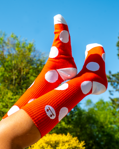 Limited Edition Marshall Chomp Bundle By Mardeluna